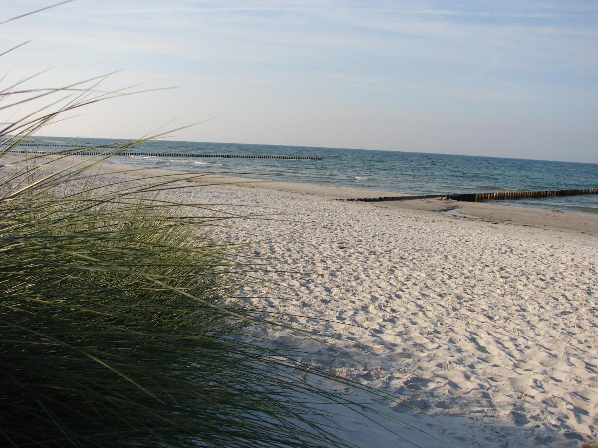 Hausnora - Zingst Appartement Buitenkant foto